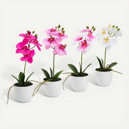 Orchidée pot blanc ASS Multicouleur vue 3/4