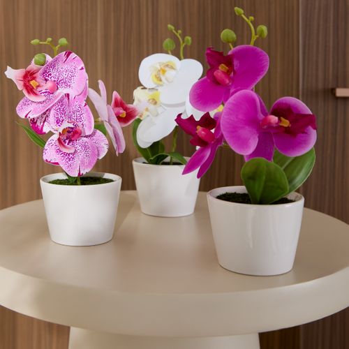 Orchidée H. 23 cm - Blanc, fuchsia ou blanc-rose vue d'ambiance 1