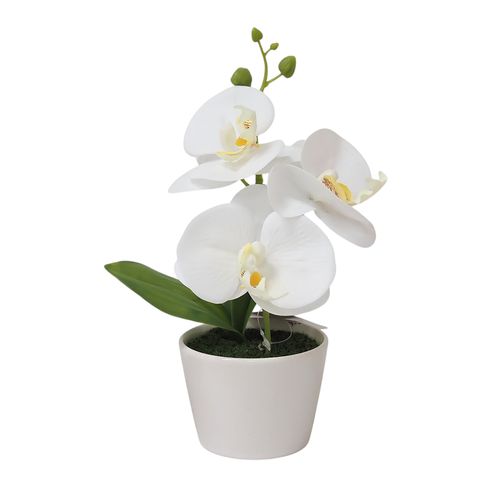 Orchidée H. 23 cm - Blanc, fuchsia ou blanc-rose vue détaillée