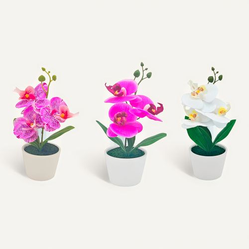Orchidée H. 23 cm - Blanc, fuchsia ou blanc-rose vue de face