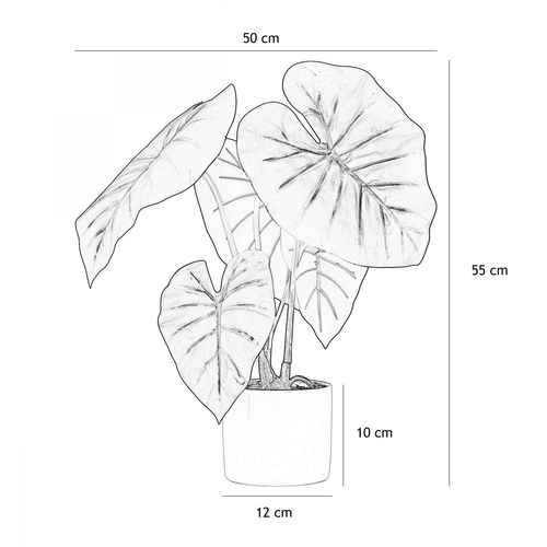 Taro monstera ASS Vert vue accessoires