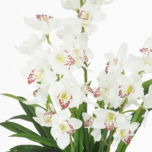 Orchidée Cymbidium H. 150 cm - Blanc vue détaillée