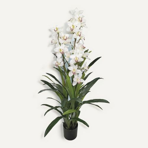 Orchidée Cymbidium H. 150 cm - Blanc vue de face