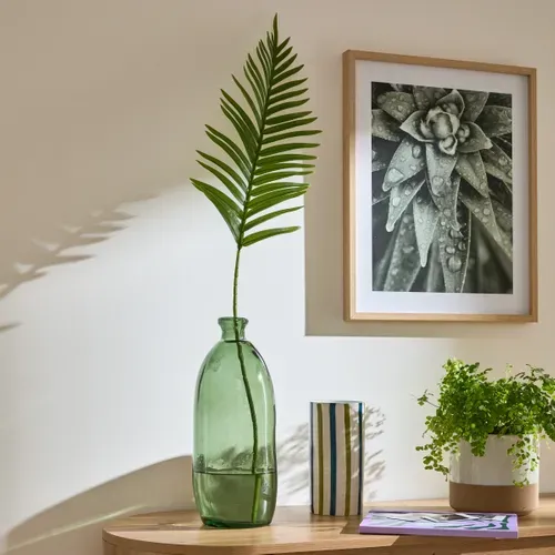 Arecca palme feuillage H100 cm Vert vue d'ambiance 1