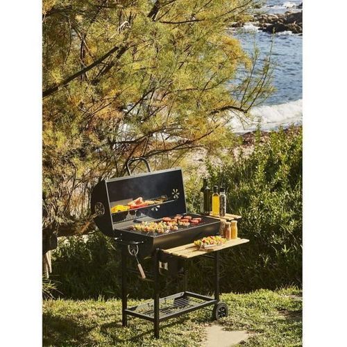 Cooking Box Barbecue à Charbon Mike - 115x66x106 Cm - 2 Grilles Acier Chromé - 71x35 cm
