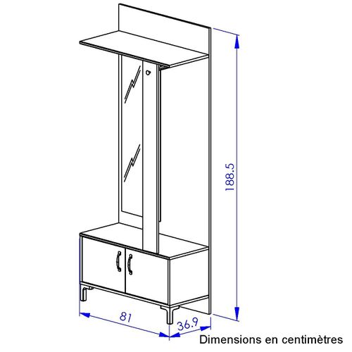 Vestiaire D'entrée Noir 2 Portes Et Un Miroir
