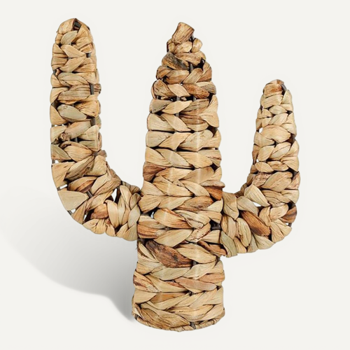 Cactus Rotin Naturel