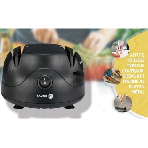 Affûteur Aiguiseur électrique 60w Fg0145