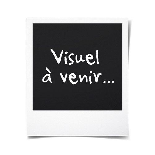 Table à Induction Posable 2 Feux 3500w Noir Doc236