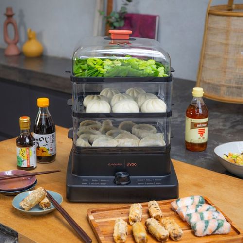 Cuiseur Vapeur - Doc300