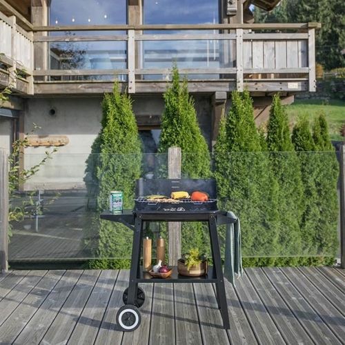 Barbecue à Charbon - Doc328 - Inox - Surface De Cuisson 48,5 X 28,8 Cm - Hauteur Réglable 70-84 Cm
