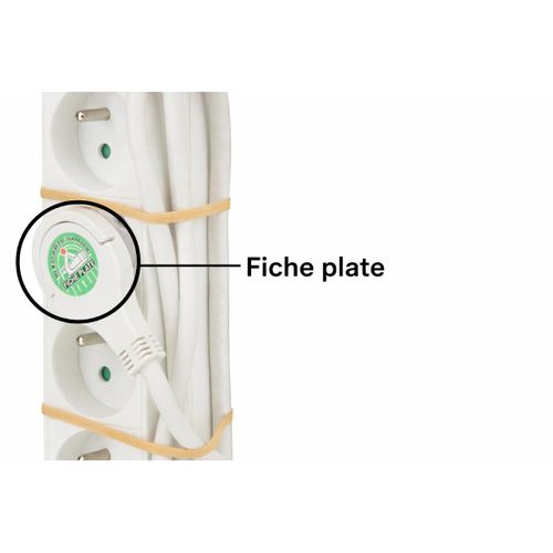 Bloc 5 Prises + Interrupteur + Fiche Extraplate 1m - Zenitech