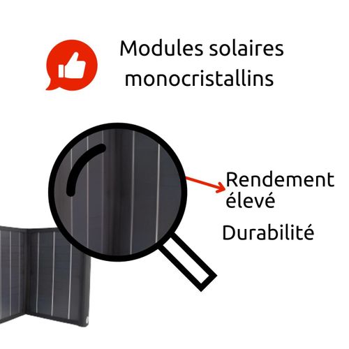 Solartec 60 – Panneau Solaire 60w