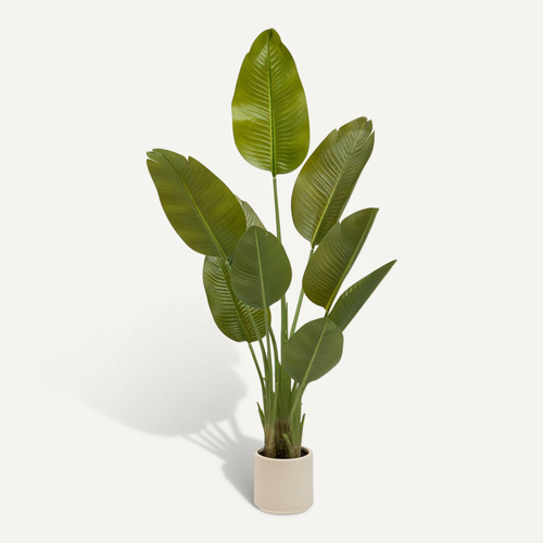 Bananier Artificielle Lora H140 Cm Avec Pot Blanc