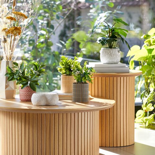 Monstera ciment strié H35  Vert vue d'ambiance 1