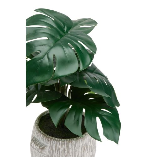 Monstera ciment strié H35  Vert vue détaillée