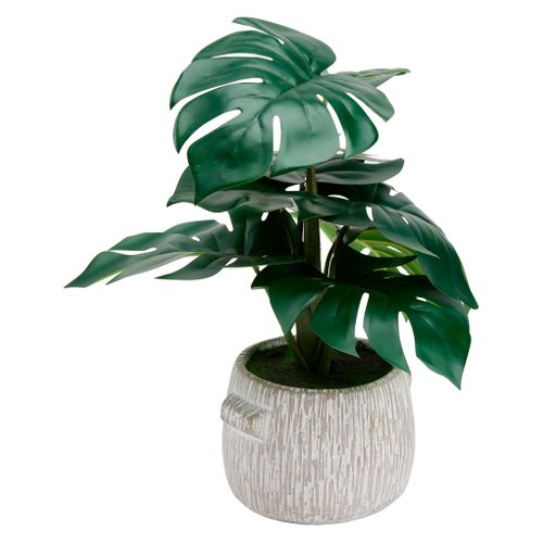 Monstera ciment strié H35  Vert vue 3/4