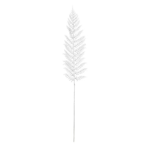 Branche De Fougère "souffle Polaire" 75cm Blanc