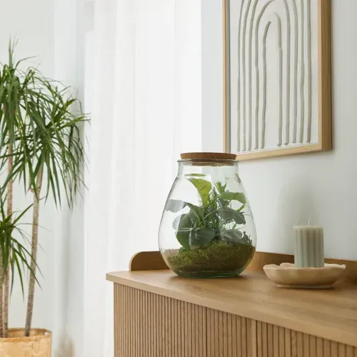 Botanique terrarium H. 29,5 cm BOTA Vert vue d'ambiance 1