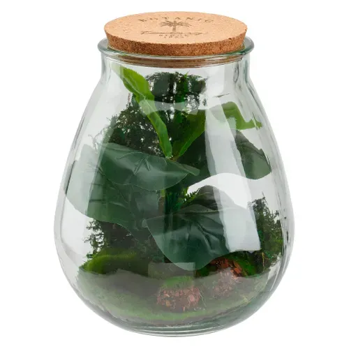 Botanique terrarium H. 29,5 cm BOTA Vert vue 3/4