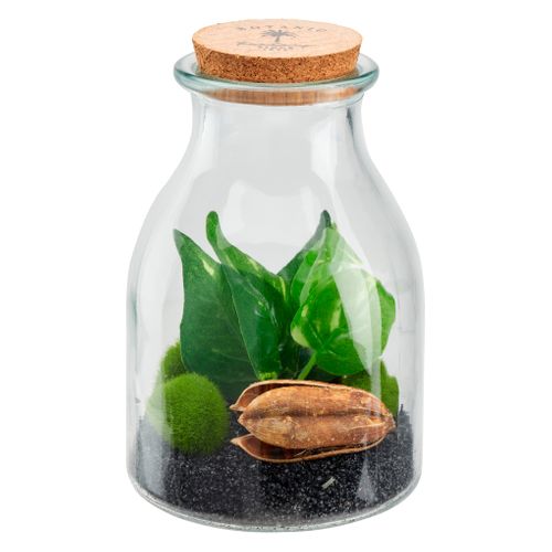 Botanique terrarium H. 19,5 cm BOTA Vert