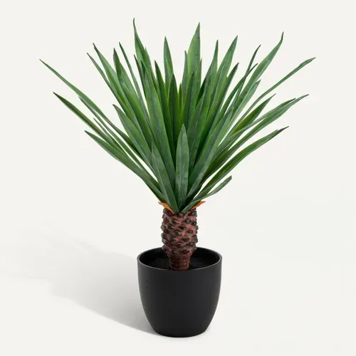 Palmier pot plastique H52  Noir vue 3/4