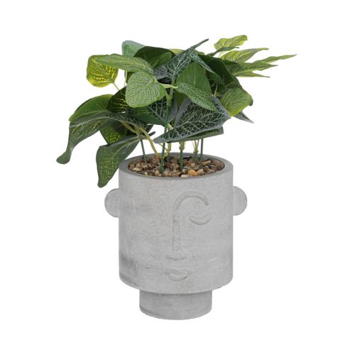 Plante Artificielle Visage Pot Gris Clair H 26 Cm