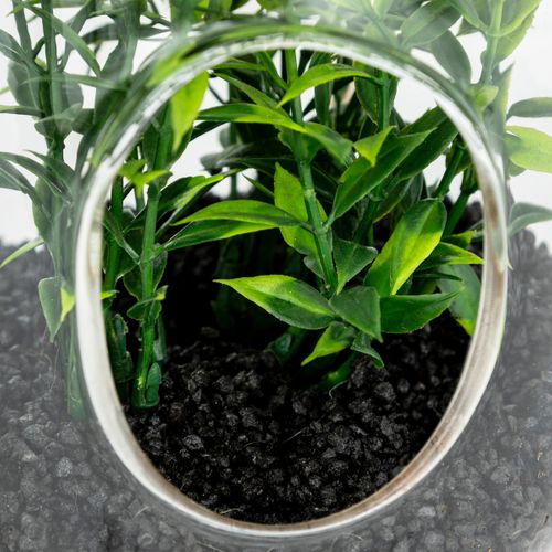 Plante Artificielle Terrarium à Suspendre En Verre H 15 Cm