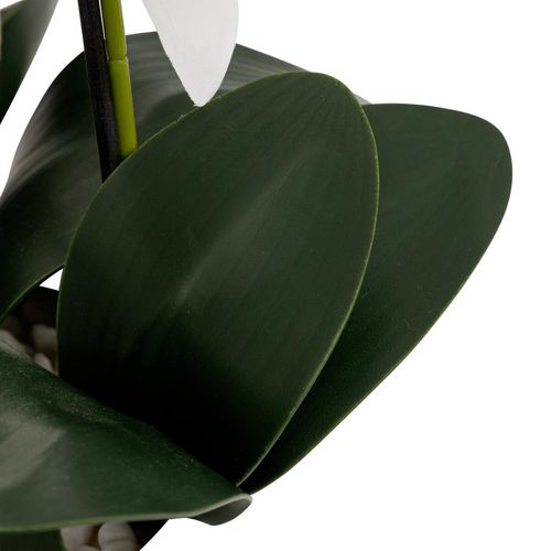 Orchidée H. 80 cm MICK Blanc vue accessoires
