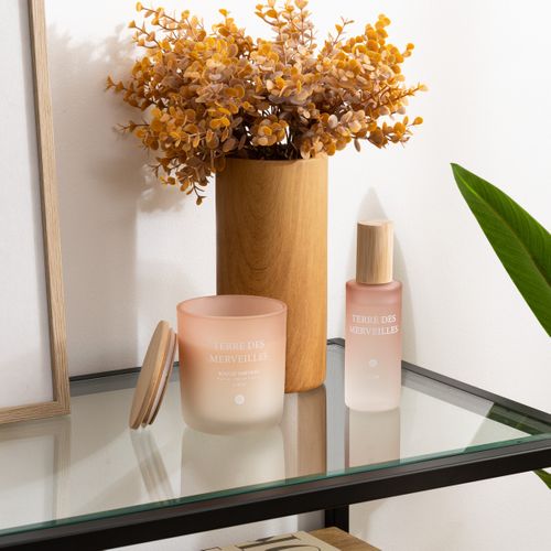 Bougie Parfumée Sana 255g Pot Verre Terre Des Merveilles