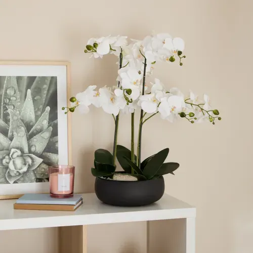 Orchidée pot céramique SANAE Noir vue d'ambiance 1