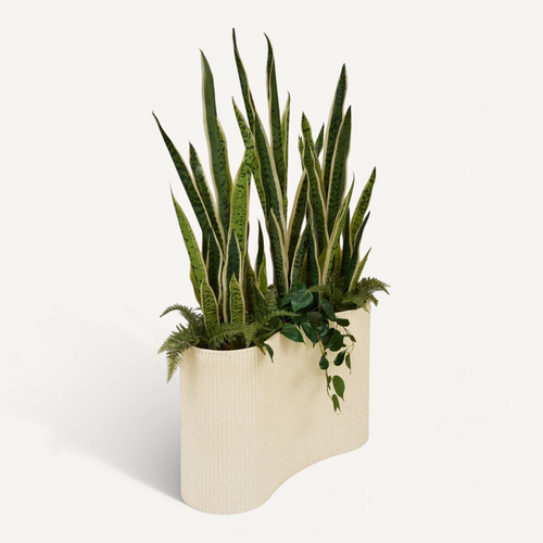 Plante Artificielle En Pot Sky 80x30cm