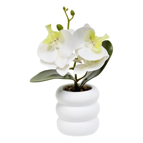Fleur Artificielle Mick Orchidée H 23 Cm