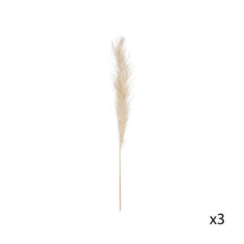 Set 3 pampas nat H110  Ivoire