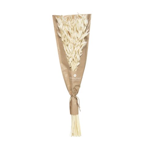Bouquet De Tiges Et Plantes Séchées H 45 Cm