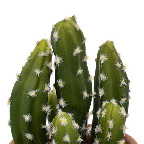 Cactus En Pot "alicante" Terracotta H16,5cm