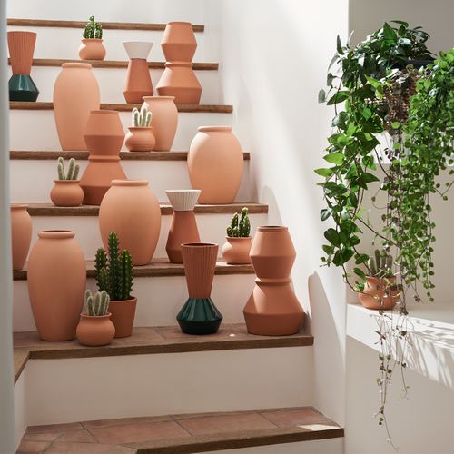 Cactus En Pot "alicante" Terracotta H16,5cm
