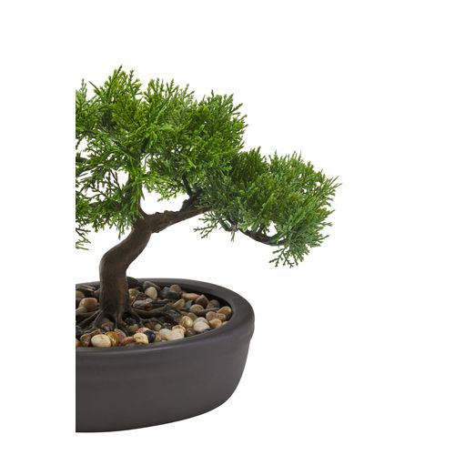 Bonsai H. 23 cm Vert vue détaillée