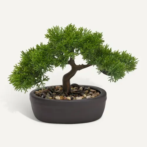 Bonsai H. 23 cm Vert vue de face