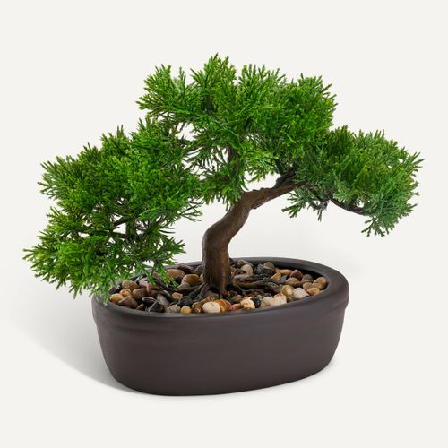 Bonsai H. 23 cm Vert vue 3/4