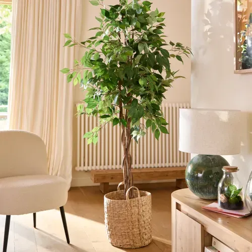 Plante artificielle H180 cm FICUS Noir / Vert vue d'ambiance 1