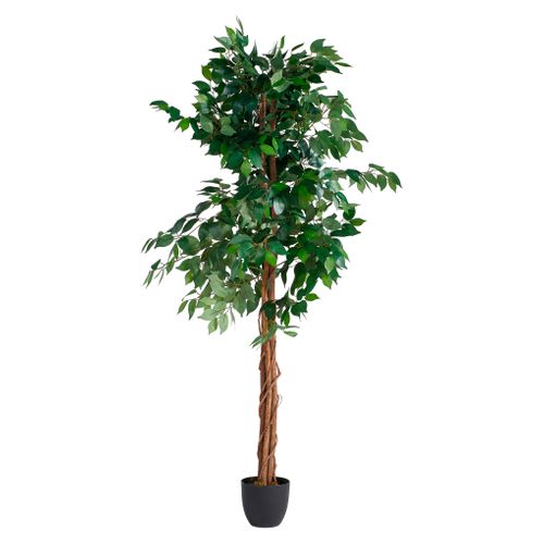 Plante artificielle H180 cm FICUS Noir / Vert vue 3/4