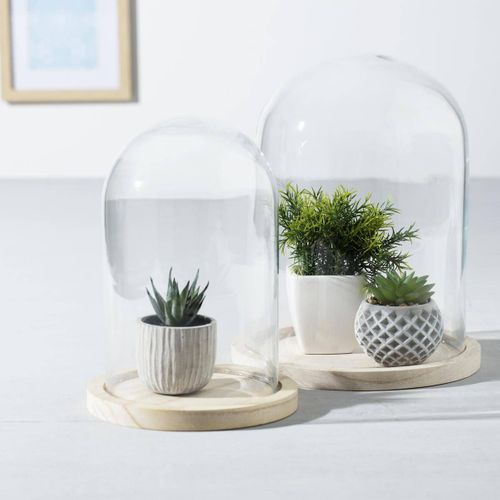 Cloche Verre Et Bois H26cm