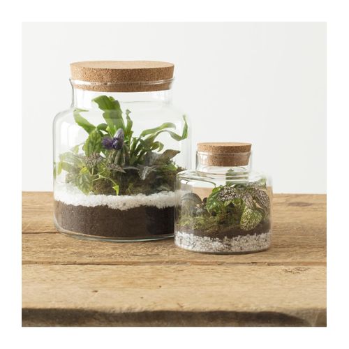 Terrarium En Verre Trempé Et Bouchon Liège H 21.5 Cm Pour Créer Vos Compositions Florales
