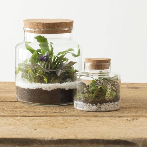 Terrarium En Verre Trempé Et Bouchon Liège H 21.5 Cm Pour Créer Vos Compositions Florales