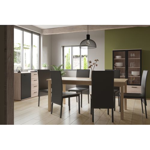 Aloe vera H. 48 cm ALINE Vert