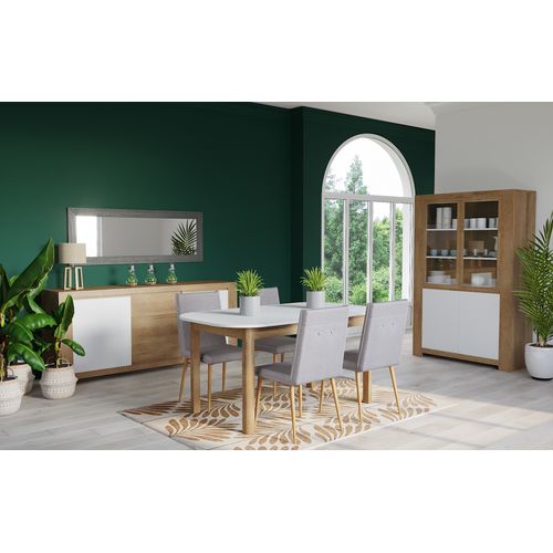 Aloe vera H. 48 cm ALINE Vert