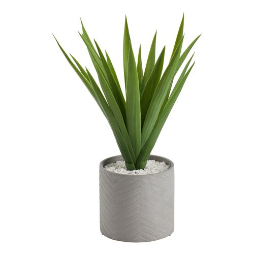 Aloe vera H. 48 cm ALINE Vert