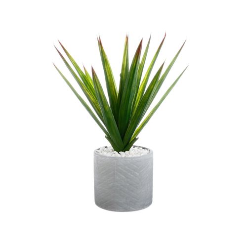 Aloe vera H. 48 cm ALINE Vert