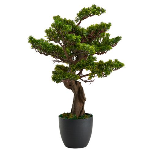 Plante artificielle H80 cm BONSAI Noir / Vert vue 3/4
